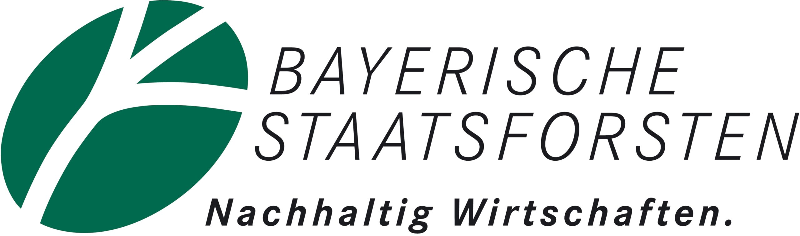 Logo BaySF farbig